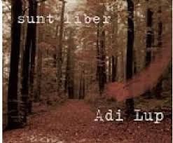 Adi Lup - Sunt liber Negative Aditionale Vol.1