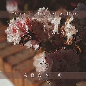Adonia - Templul laudei zidind Vol. 6 (2006)
