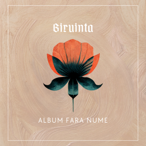 Biruința - Album Fara Nume