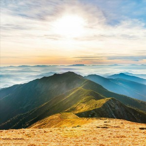 Alina Donica - Я пришел К Тебе С Повинной (2021)