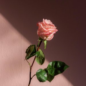 Mercy Hill Worship - All My Life