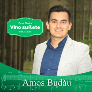 Amos Budau - Vino Suflete (2016)