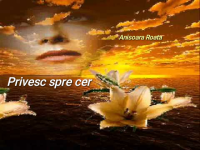 Anisoara Roata - Privesc spre cer