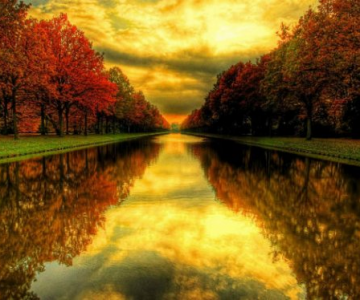 Daniela si Darius Bogdan - Anotimpuri