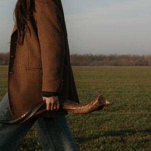 Fiona Bocșa - Apel (2025)