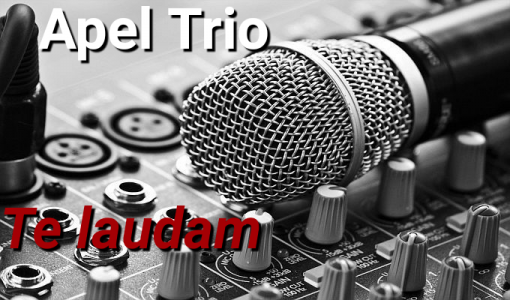 Apel Trio - Te laudam
