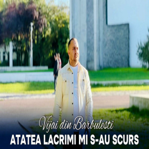 Vijai Din Barbulesti - Atâta Lacrimi Mi-Sa Curs (2024)