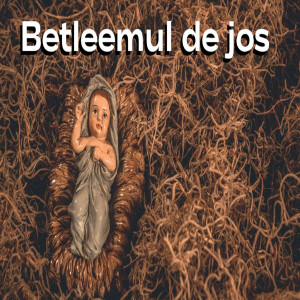 Nicky Yaya Preotu - Betleemul De Jos (2022)