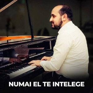 Biji Din Barbulesti - Numai El Te Intelege (2020)