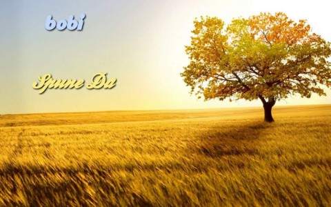 Bobi - Spune Da (2008)