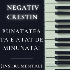Negativ Crestin - Bunatatea Ta E Atat De Minunata! (Instrumental) (2025)
