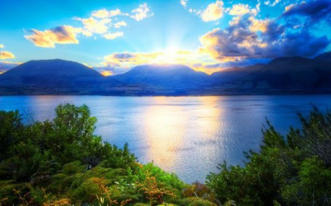 Cami Savu - Intr-o zi de sarbatoare (2008)