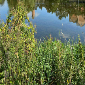 Onisim Grab - Când Simți (2025)