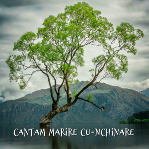 Muzica Crestina Noua - Cantam Marire Cu-Nchinare (2024)