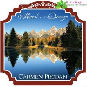 Carmen Prodan - Minunat e Dumnezeu Vol.1
