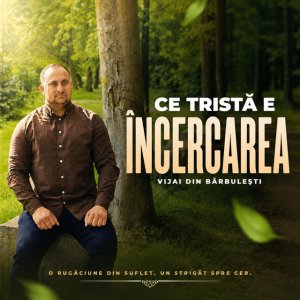 Vijai Din Barbulesti - Ce Tristă E Încercarea