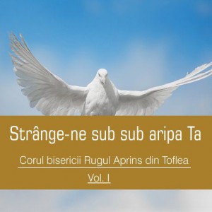 Corul Biserici Rugul Aprins Din Toflea - Strânge-ne sub aripa Ta Negative Vol.1 (2017)