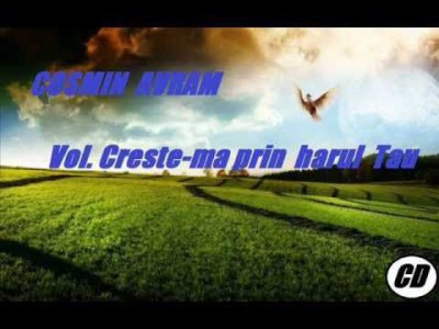 Cosmin Avram - Crestema Prin Harul Tau