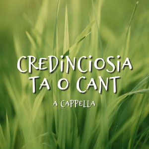 Muzica Crestina Noua - Credinciosia Ta O Cant, A Cappella (2024)