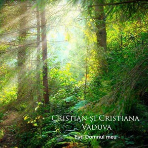Cristian Vaduva - Esti Domnul meu - Negative