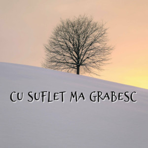 Muzica Crestina Noua - Cu Suflet Ma Grabesc (2024)