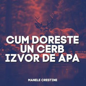 Muzica Crestina Noua - Cum Doreste Un Cerb Izvor De Apa, Manele Crestine (2024)