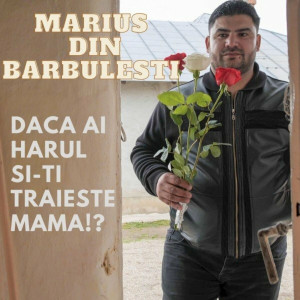 Marius Din Barbulesti - Daca Ai Harul Si-Ti Trăiește Mama! (2022)