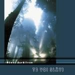 Danut Aschilean - Te voi slavii Negative Vol.3