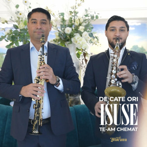 Vasile Mocanu - De Cate Ori Isuse Te-Am Chemat (2024)