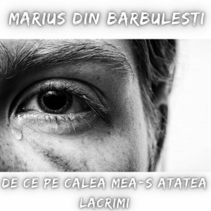 Marius Din Barbulesti - De Ce Pe Calea Mea-S Atatea Lacrimi (2024)