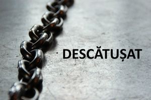 Descatusat - CD 04