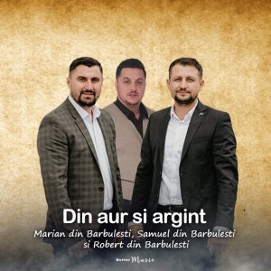 Samuel din Barbulesti - Din Aur Si Argint
