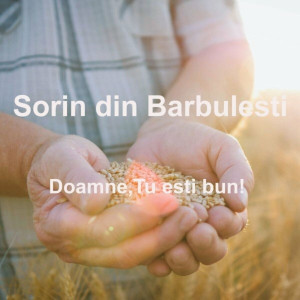 Sorin din Barbulesti - Doamne, Tu Esti Bun! (2016)