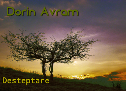 Dorin Avram - Desteptare