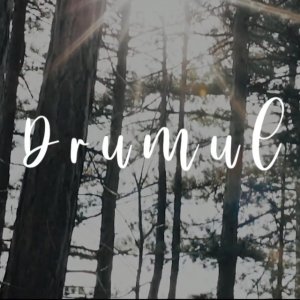 Stranis Denis - Drumul Meu