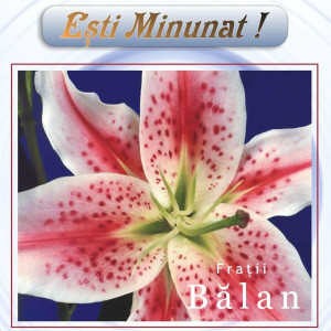 Fratii Balan - Ești Minunat (2002)