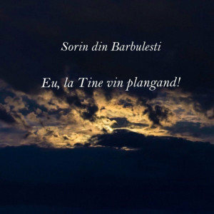 Sorin din Barbulesti - Eu, La Tine Vin Plangand! (2015)