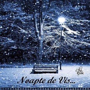 Flavius Popa - Noapte De Vis (2016)