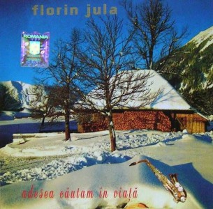 Florin Jula - Adesea cautam in viata