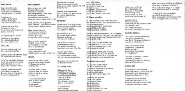 Fratii de la Toflea - Negative