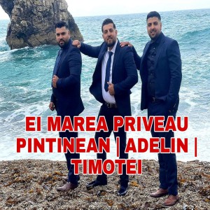 Fratii din Băcești - Ei marea Priveau (2021)