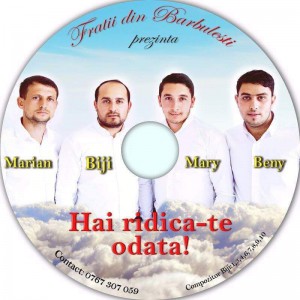 Fratii Din Bărbulești - Hai Ridică-te Odată (2016)