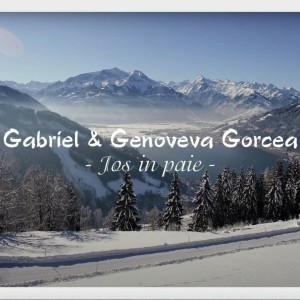 Gabriel Gorcea si Prietenii - Jos In Paie (2020)