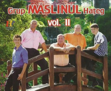 Grup Maslinul Hateg - Sa fie rugaciunea Ta Vol.2