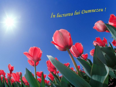 Grupul Maranata (Chisinau) - In lucrarea lui Dumnezeu vol.2 (1996)