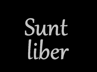 Grupul Vocal Betleem - Sunt Liber (2008)