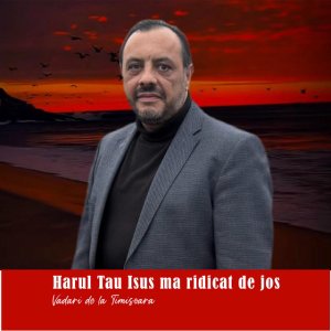 Vadari De La Timisoara - Harul Tau Isus, Ma Ridicat De Jos