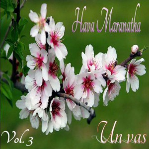 Hava Maranatha  - Un vis (2012)