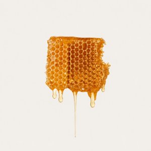 Here Be Lions - Honey On My Lips