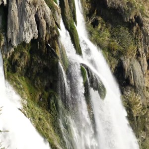 Ileana Oros - Să Vindece Rana (2021)